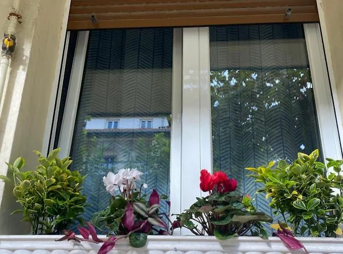 Apartament Rio Deba Gardens *